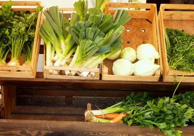 Kapusta, por i seler jesienią — jak zaplanować II rzut produkcji warzyw kapustnych?
