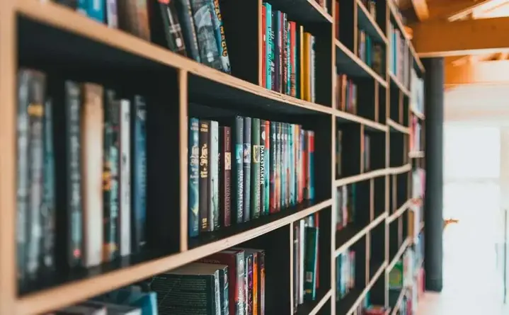 Zamek, kryminał i fińskie kocie chrzciny - Dyskusyjny Klub Książki wraca