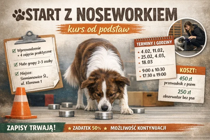 Grafika promocyjna wydarzenia START Z NOSEWORKIEM — kurs od podstaw w Siemianowicach Śląskich