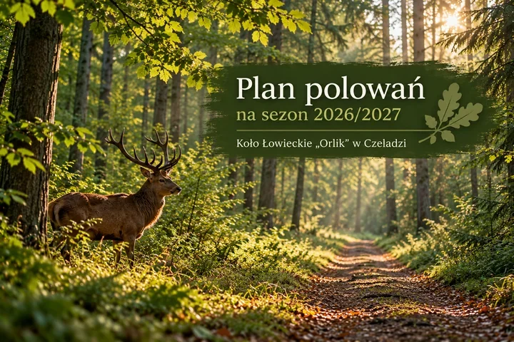 Polowania zbiorowe w rejonie Siemianowic. Trzy terminy w sezonie