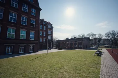 Zielone klasy i skwery przy szkołach wchodzą w życie