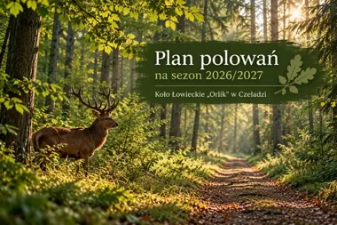 Polowania zbiorowe w rejonie Siemianowic. Trzy terminy w sezonie
