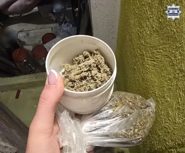 Blisko 150 gramów narkotyków w piwnicy. 39-latek z zarzutem